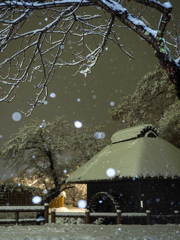 忍野八海 雪の夜