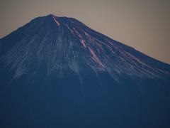 望遠で きり撮る