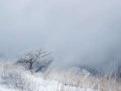 高ボッチの雪景色