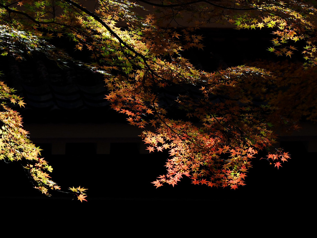 一幅の絵のような