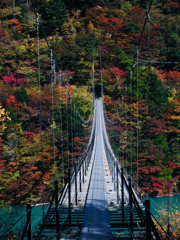 大吊り橋 紅葉