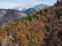 初冠雪の朝