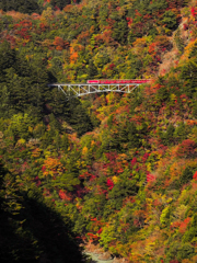 全線開通の紅葉電車