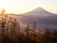 斜光さす