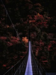 大吊り橋紅葉