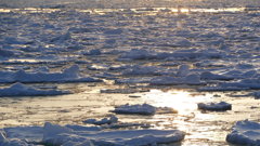 北緯43度、気温マイナス13度そして・・・ｓｕｎ（サン）