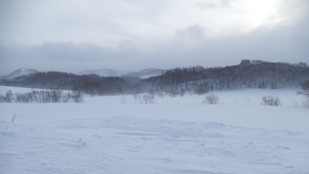 雪景色