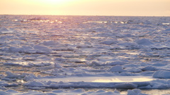 染まる流氷