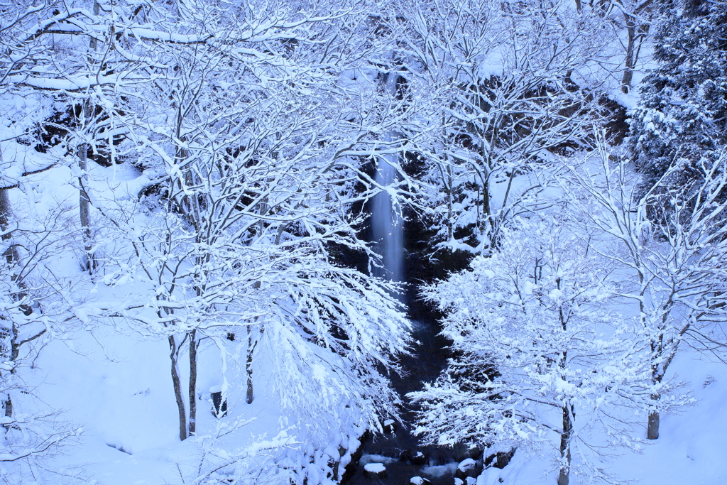 雪景色2