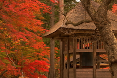 毛越寺・・紅葉と鐘楼