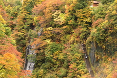 紅葉狩り