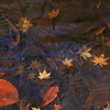 落ち葉~水面下に