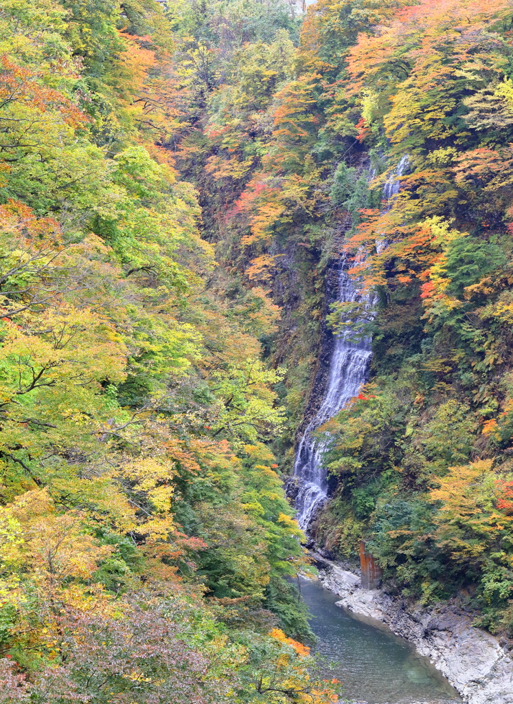 小安峡・・・紅葉