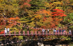 紅葉狩り