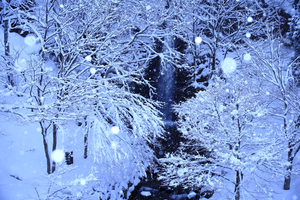雪景色