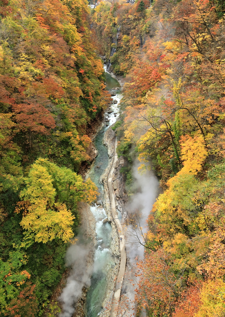 小安峡・・紅葉