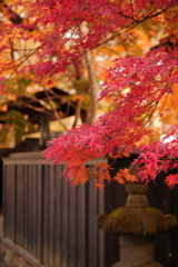 武家屋敷・・紅葉