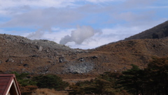 IMG_8110