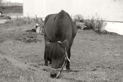 L1004314