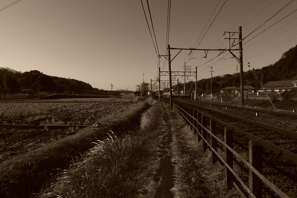 IMGP5434
