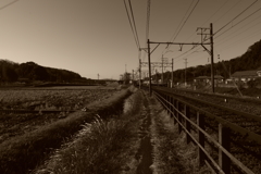IMGP5434