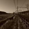 IMGP5434