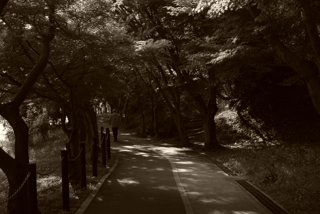 IMGP5019