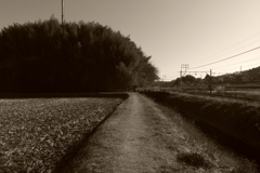 IMGP5426