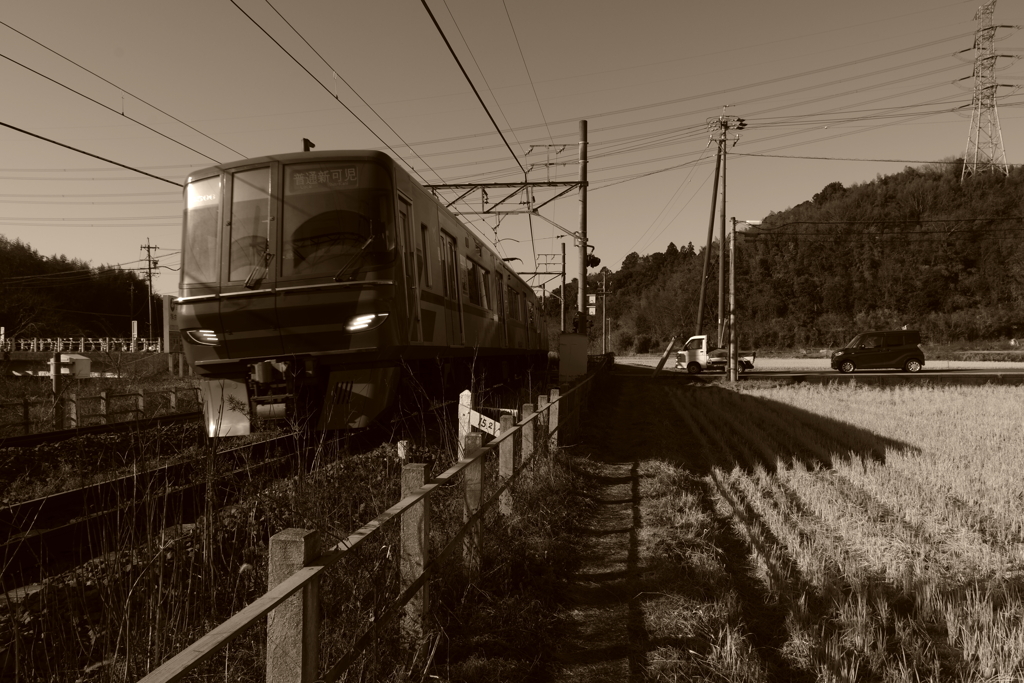 IMGP5385