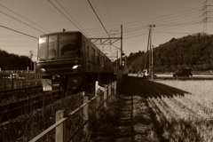 IMGP5385