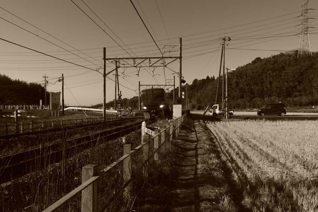 IMGP5386
