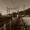 IMGP5386