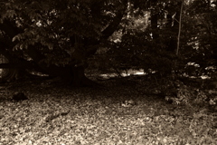 IMGP1642