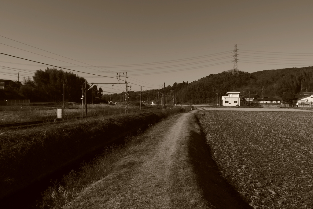 IMGP5433