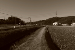 IMGP5433