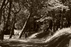 IMGP0419