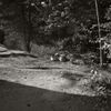 L1004658
