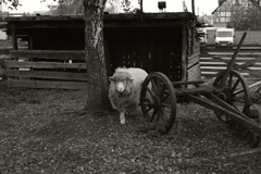 L1004218