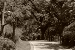 IMGP0276