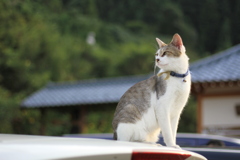 見つめる先には