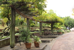 花の文化園にて①