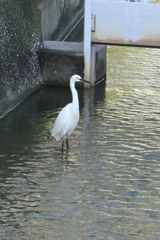 毎日拝見してます