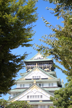 木の間から・・・