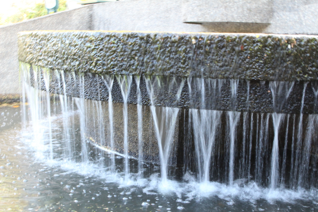 花の文化園にて②