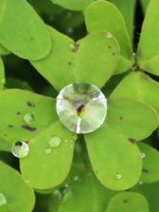 雨上がりのダイヤモンド