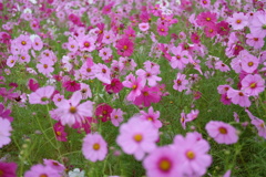 ファイル 2017-10-17 14 33 01