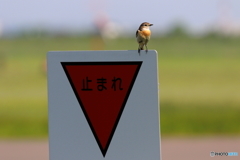 止まれ！