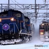 雪を舞い上げて