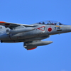 T-4