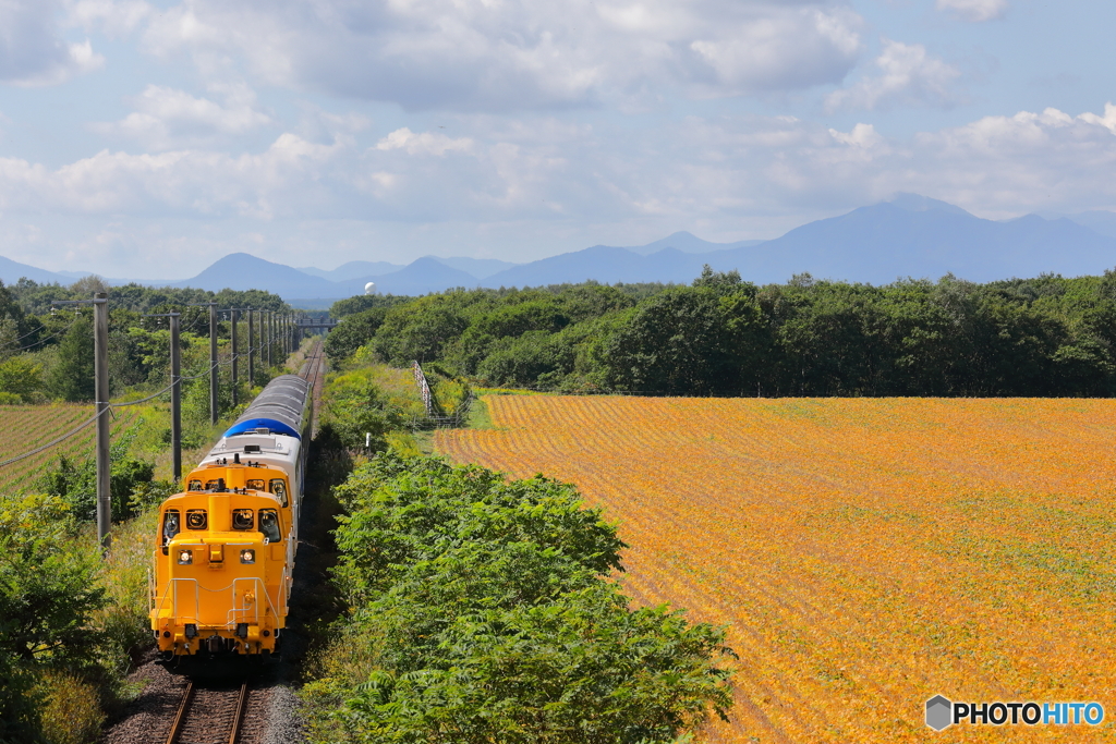 HOKKAIDO CRUISE TRAIN